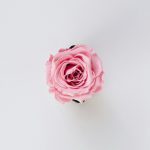 bence-balla-schottner-x68FaxTyx90-unsplash