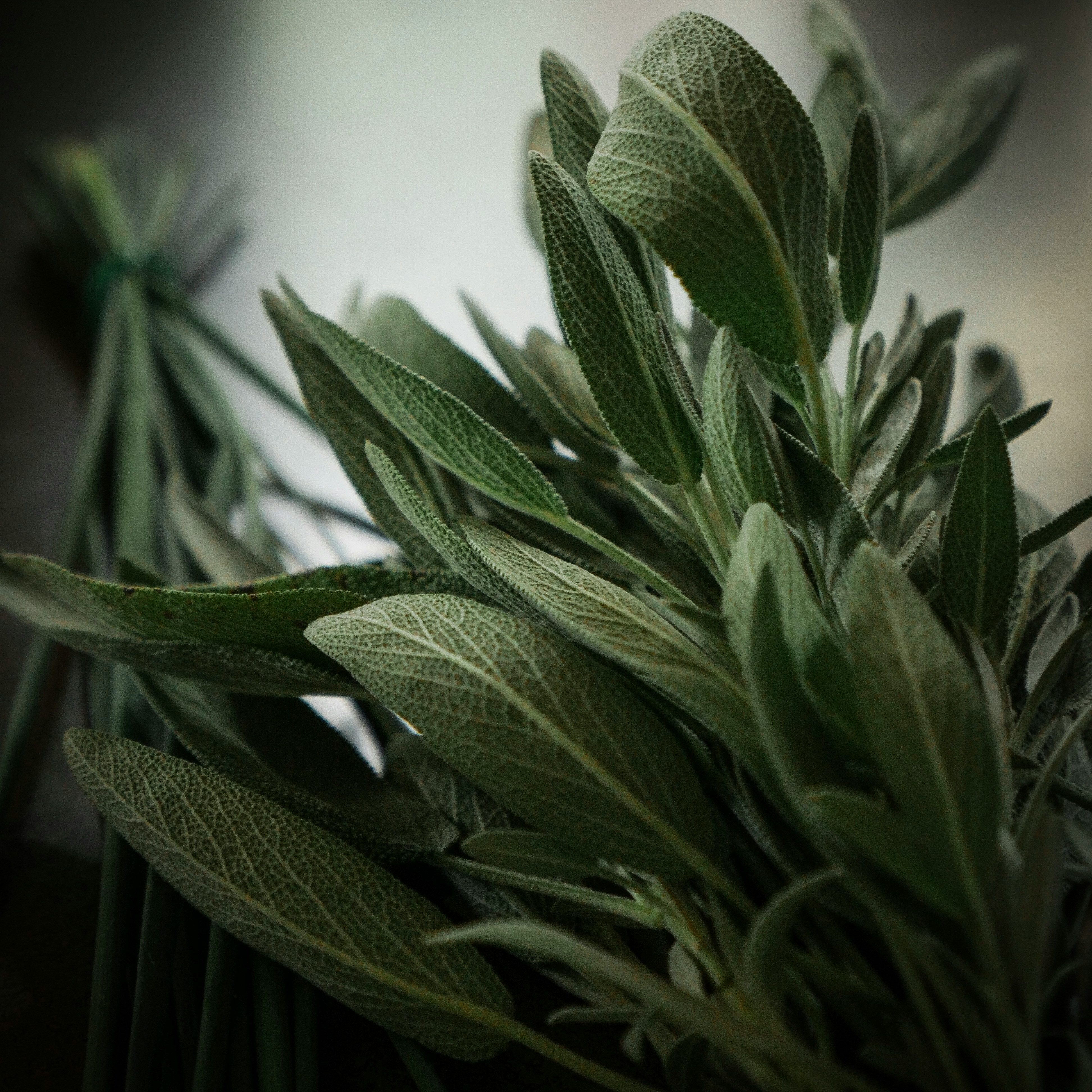chad-stembridge-Ff9enEQzUS4-unsplash