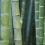 kazuend-LVdiXyu2eTc-unsplash
